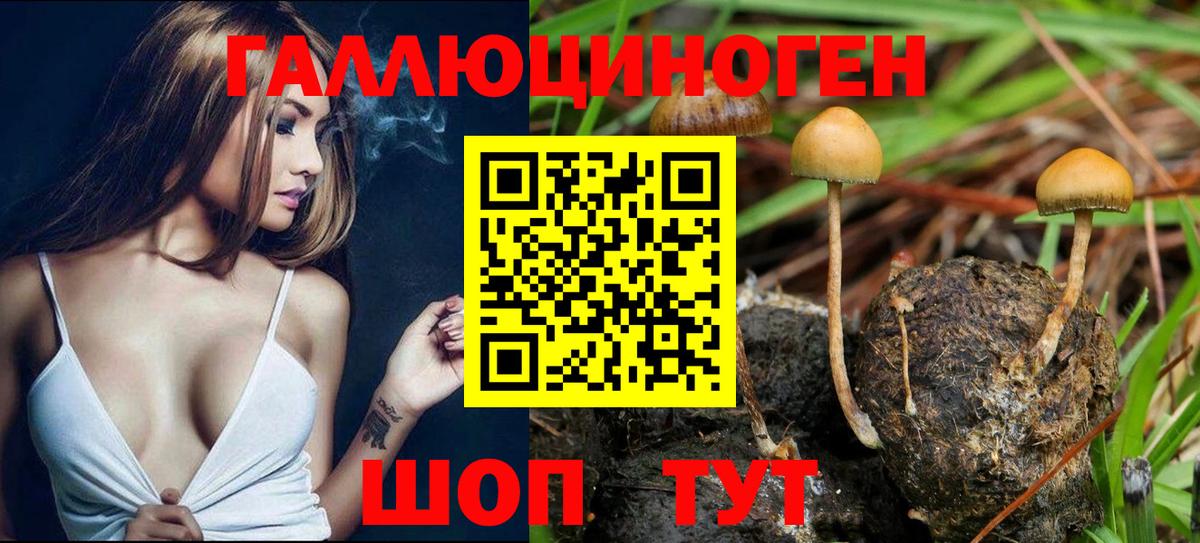 Еманжелинск  Галлюциногенные грибы прущие грибы  Вход с VPN 